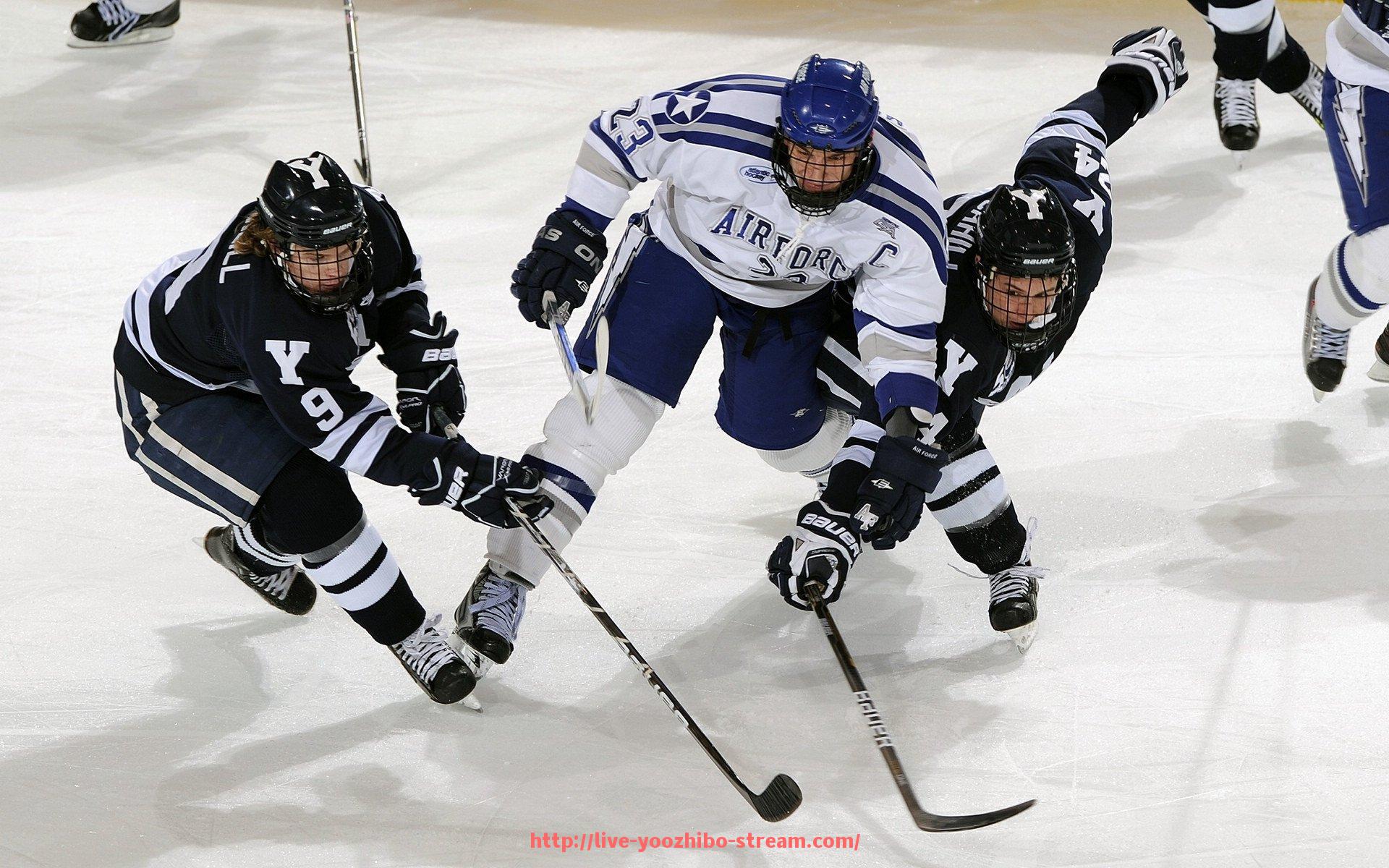 优直播-法甲各地球迷服务中心及服务体系介绍